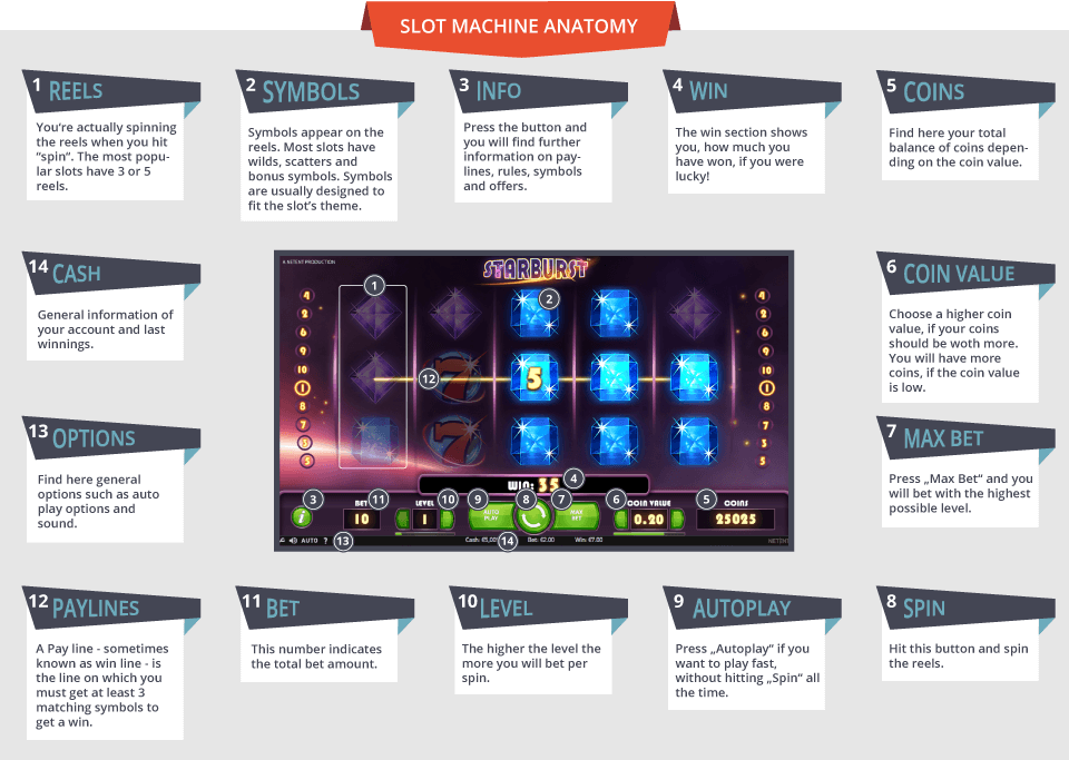 Slot Machine Anatomy